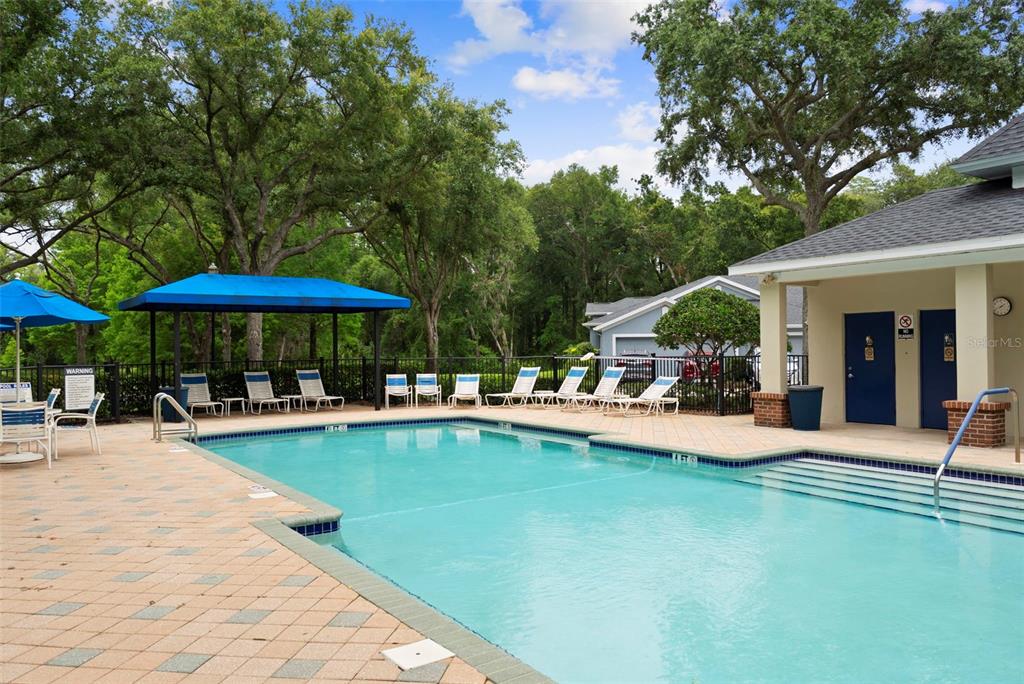 A swimming pool with a blue canopy and lounge chairs sits beside a building — 10818 ASHFORD OAKS DRIVE, TAMPA, FL