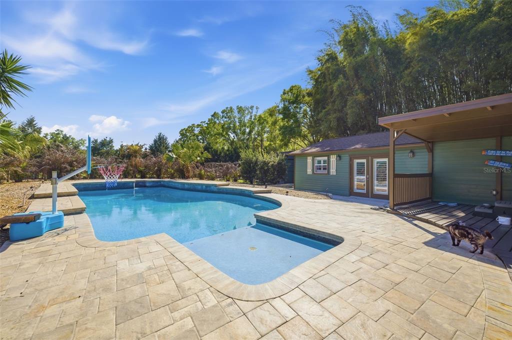 A backyard features a swimming pool with a basketball hoop, stone pavers, and a small building — 3752 OLD KEYSTONE ROAD, TARPON SPRINGS, FL