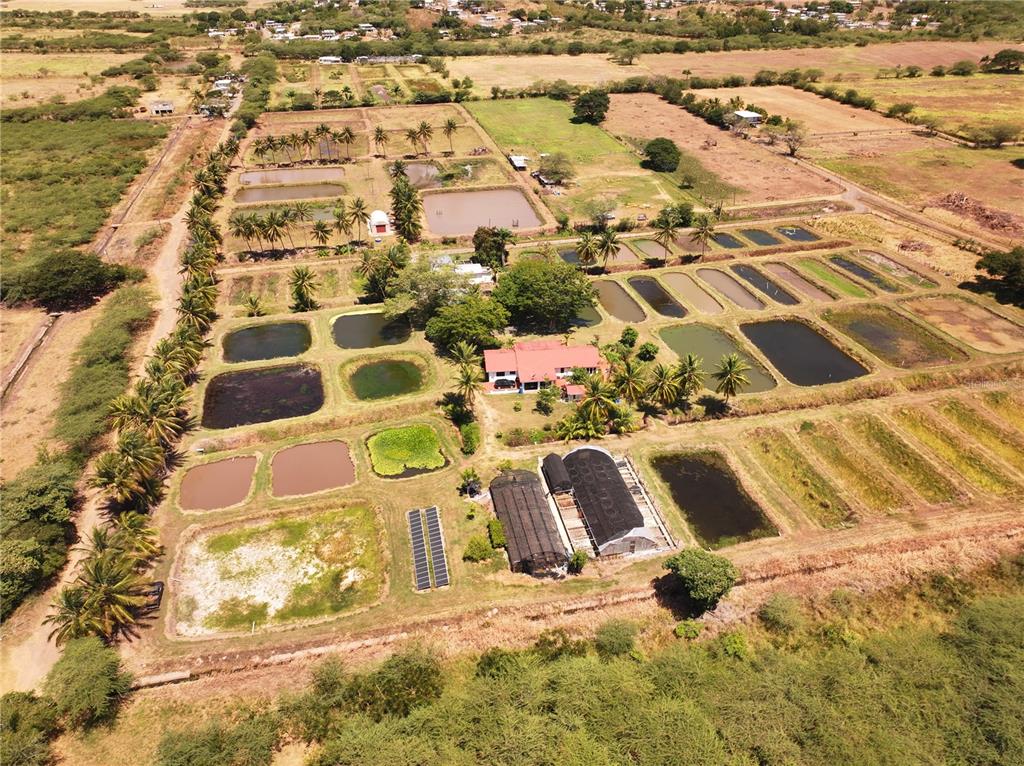 An aerial view shows a rural property featuring numerous aquaculture ponds, a house, and greenhouses — SR 117 km 9.9 interior LA PLATA ST, LAJAS, PR