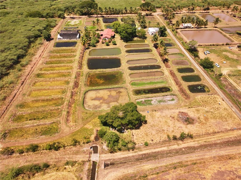 An aerial view shows a rural property featuring numerous rectangular fish ponds and a house — SR 117 km 9.9 interior LA PLATA ST, LAJAS, PR
