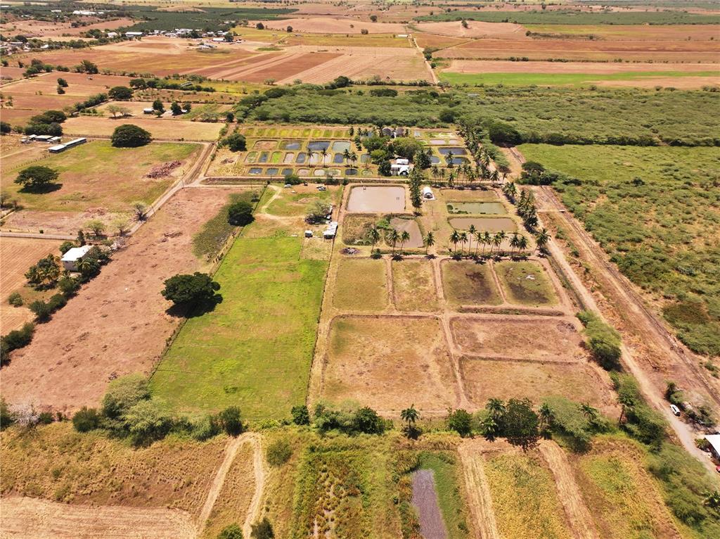 An aerial view shows a rural property featuring multiple rectangular ponds and agricultural land — SR 117 km 9.9 interior LA PLATA ST, LAJAS, PR