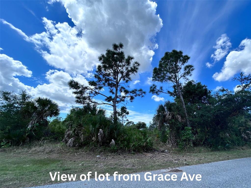 A view of a wooded, undeveloped lot from a paved road under a cloudy sky — 12231 GRACE AVENUE, PORT CHARLOTTE, FL