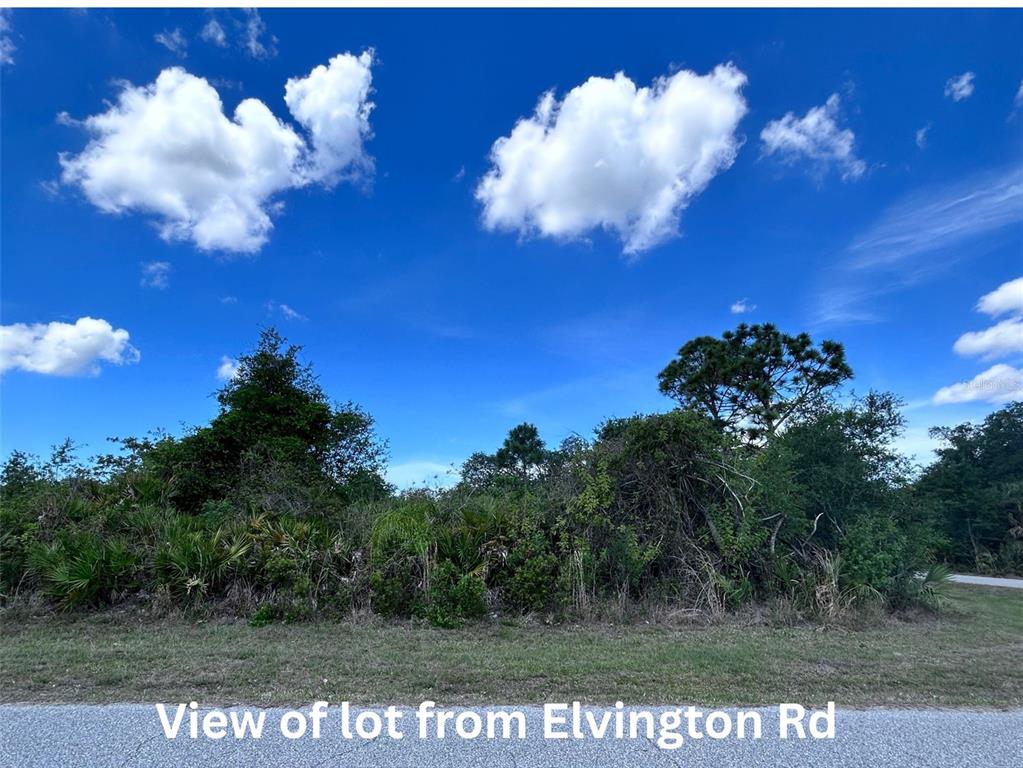A view of a densely wooded, undeveloped lot from a paved road under a blue sky — 12231 GRACE AVENUE, PORT CHARLOTTE, FL