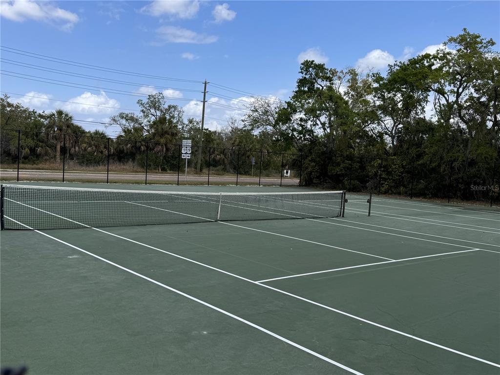 A green outdoor tennis court with a net and a surrounding chain-link fence — 1250 S PINELLAS AVENUE UNIT 804, TARPON SPRINGS, FL