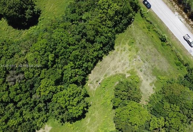 An aerial view shows a grassy lot bordered by dense trees and a paved road — NA Luray Rd, Southwest Ranches FL 33330, SOUTHWEST RANCHES, FL