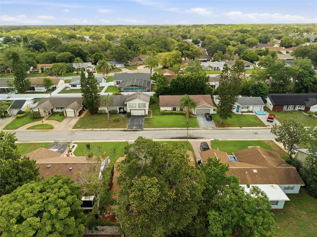 An aerial view shows a suburban street lined with single-story houses and mature trees — 12219 QUAIL RUN ROW, BAYONET POINT, FL