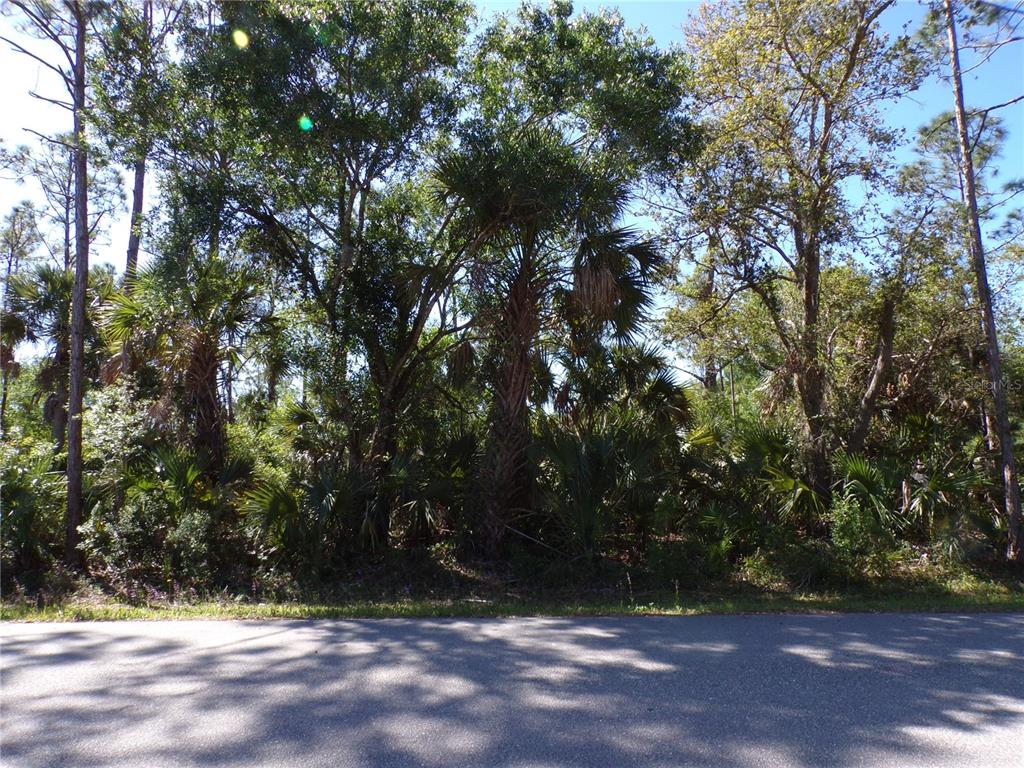 26215 CUSTER ROAD