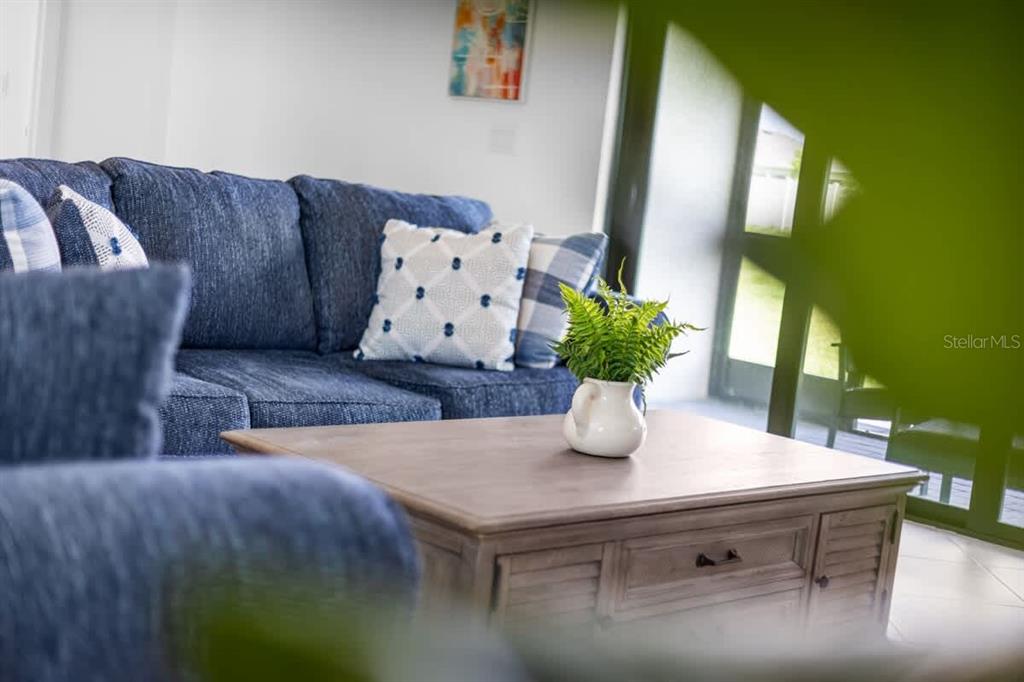 A blue sofa with patterned pillows sits behind a wooden coffee table with a plant — 1638 SADDLEWOOD CIRCLE, PORT CHARLOTTE, FL