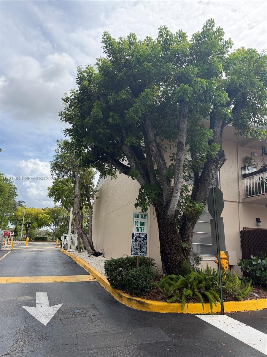 A large tree stands beside a building exterior with a one-way sign and driveway — 13781 SW 66th St # 231B, Miami FL 33183, MIAMI, FL