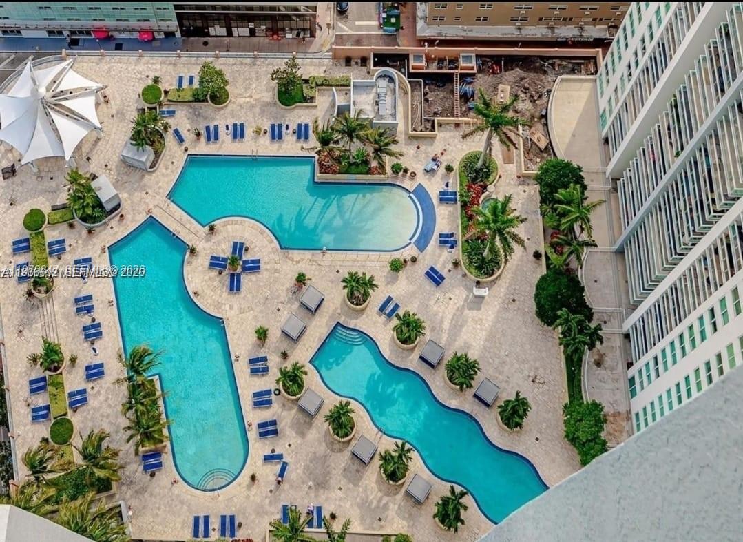 An aerial view shows a multi-section swimming pool surrounded by lounge chairs and palm trees — 244 NE Biscayne Blvd # 440, Miami FL 33132, MIAMI, FL