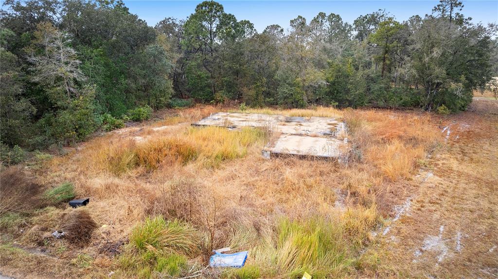 An elevated view shows a concrete foundation slab surrounded by tall, dry grass and trees — 1443 TERN COURT, POINCIANA, FL