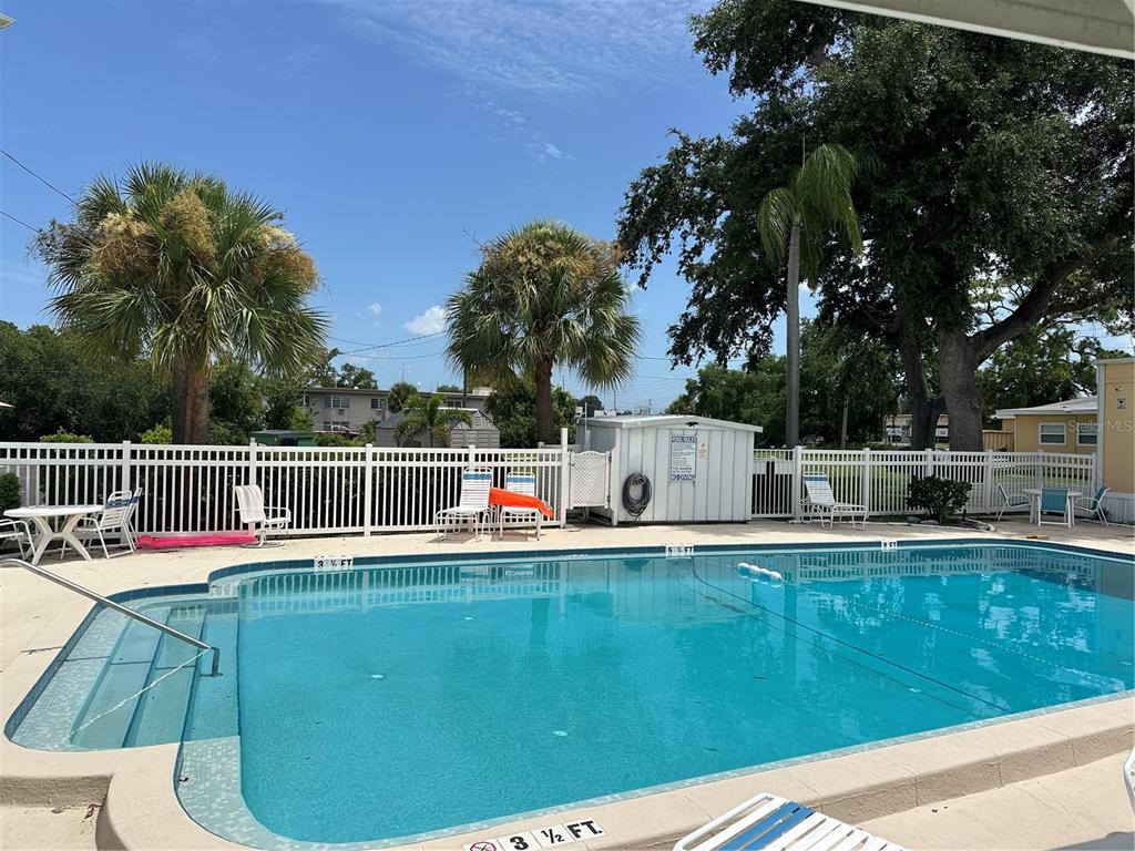 An outdoor swimming pool with a white fence and palm trees in a residential backyard — 4150 66TH STREET N UNIT 1, ST PETERSBURG, FL