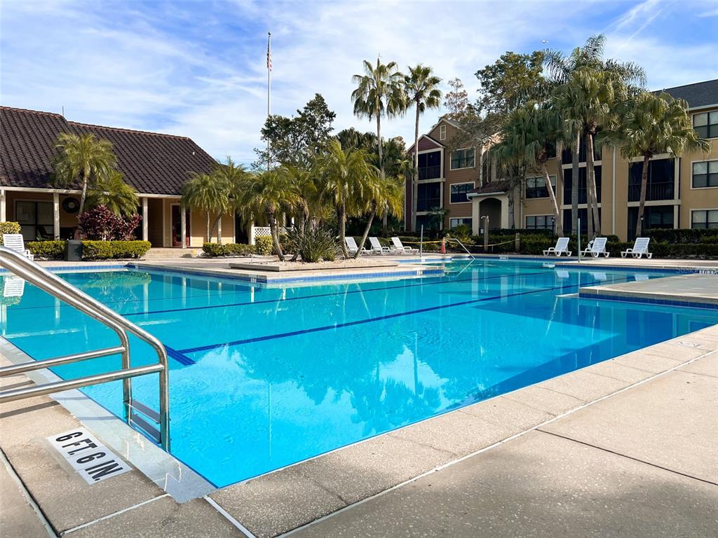 A rectangular swimming pool sits in front of a multi-story apartment building with palm trees — 11901 4TH STREET N UNIT 8102, ST PETERSBURG, FL