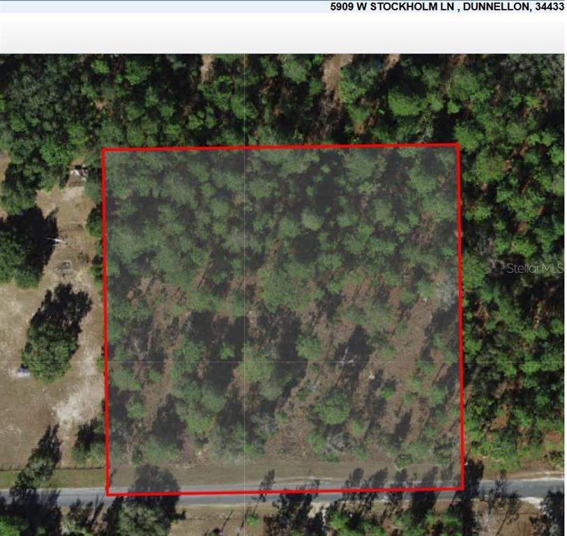 An aerial view shows a rectangular, wooded plot of land bordered by a paved road — 5909 W STOCKHOLM LANE, DUNNELLON, FL