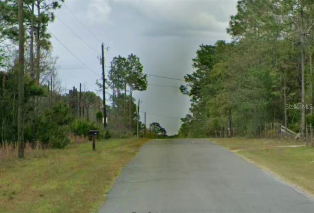 A paved road stretches forward between dense trees and utility poles under a cloudy sky — 5909 W STOCKHOLM LANE, DUNNELLON, FL
