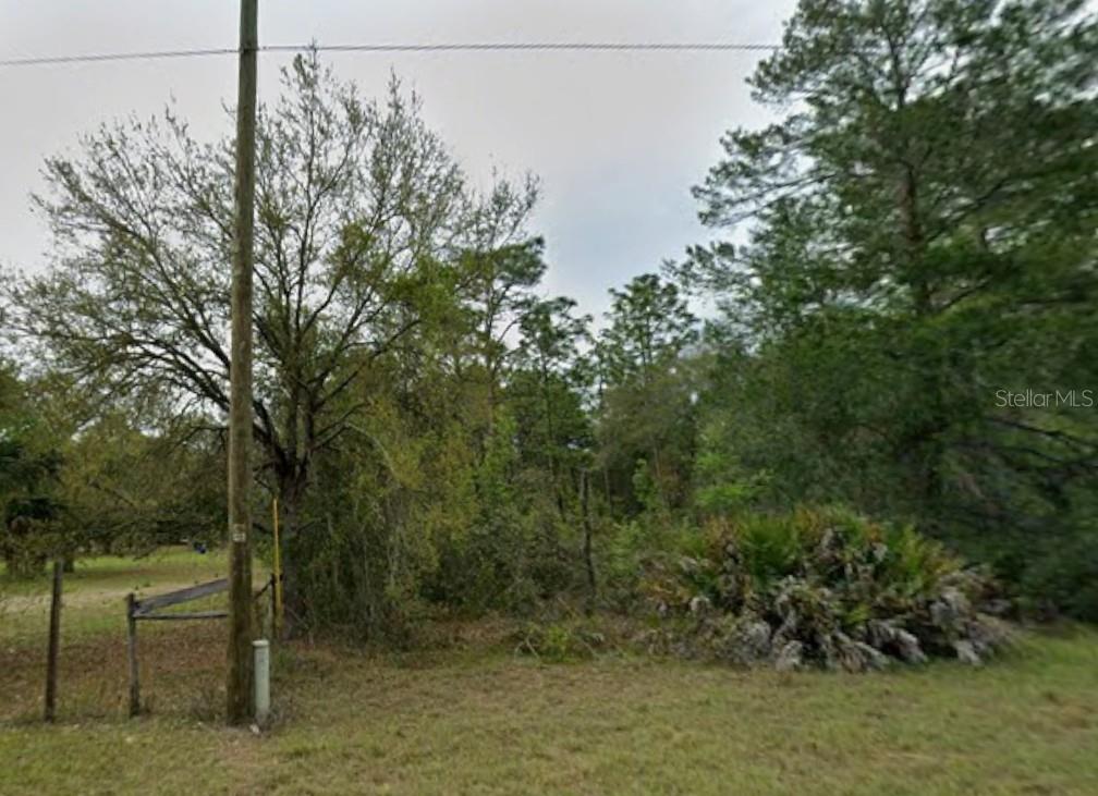 A utility pole stands in the foreground of a grassy lot with dense trees and vegetation — 5909 W STOCKHOLM LANE, DUNNELLON, FL