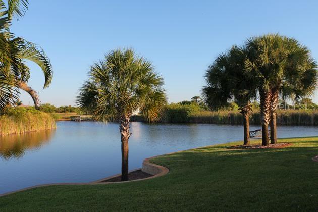 A grassy lawn with palm trees overlooks a calm pond under a clear blue sky — 10449 VAN WYCK TERRACE, PORT CHARLOTTE, FL