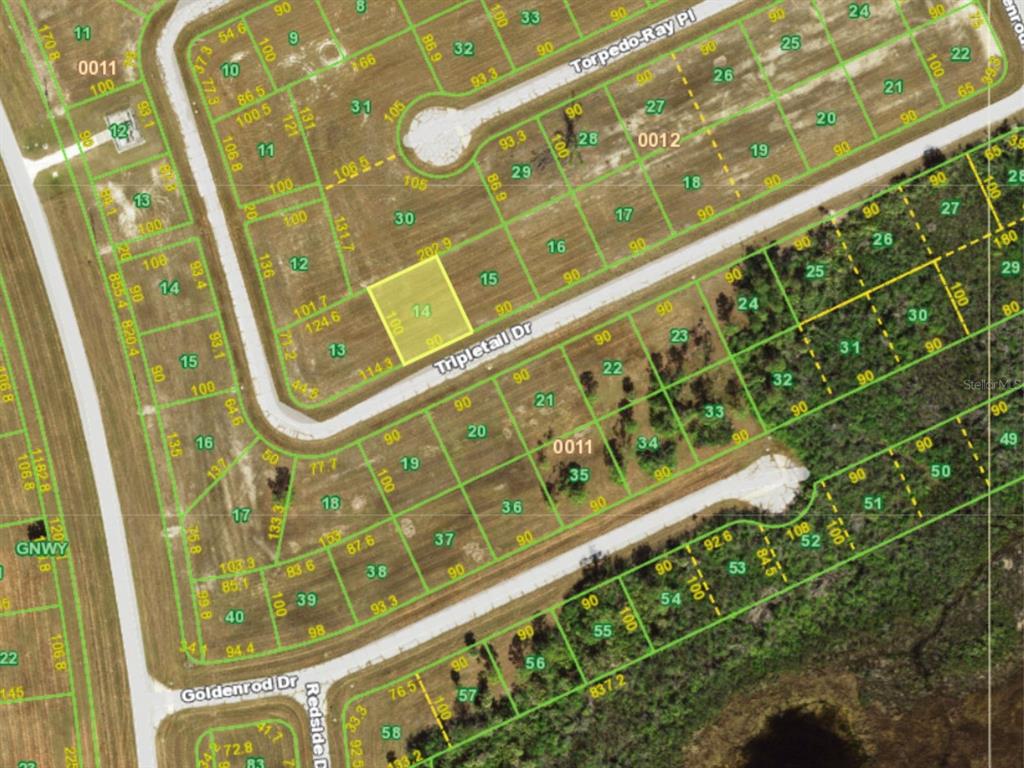 This is a satellite map showing residential lot boundaries and street layouts — 12394 TRIPLETAIL DRIVE, PLACIDA, FL