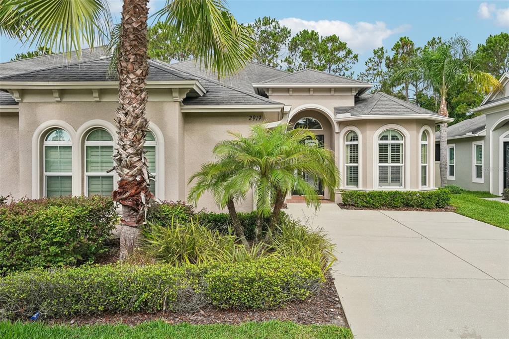 A single-story stucco house with a palm tree in the front yard and arched windows — 2919 DEVONOAK BOULEVARD, LAND O LAKES, FL