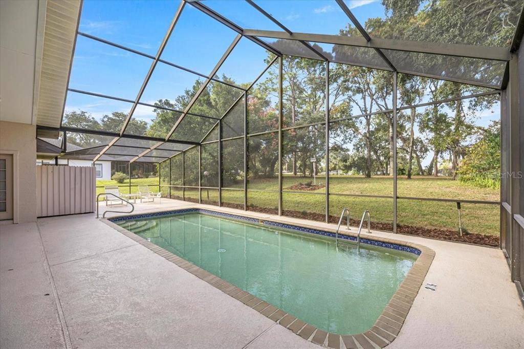 A rectangular swimming pool is enclosed by a screened lanai overlooking a grassy backyard — 631 E LIBERTY STREET, HERNANDO, FL