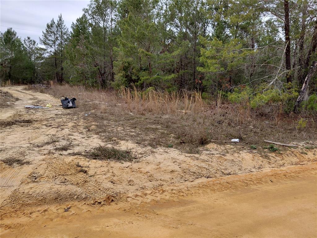 A dirt road leads to a wooded, undeveloped lot with patches of dry grass — 0 OAK TERRACE, INTERLACHEN, FL