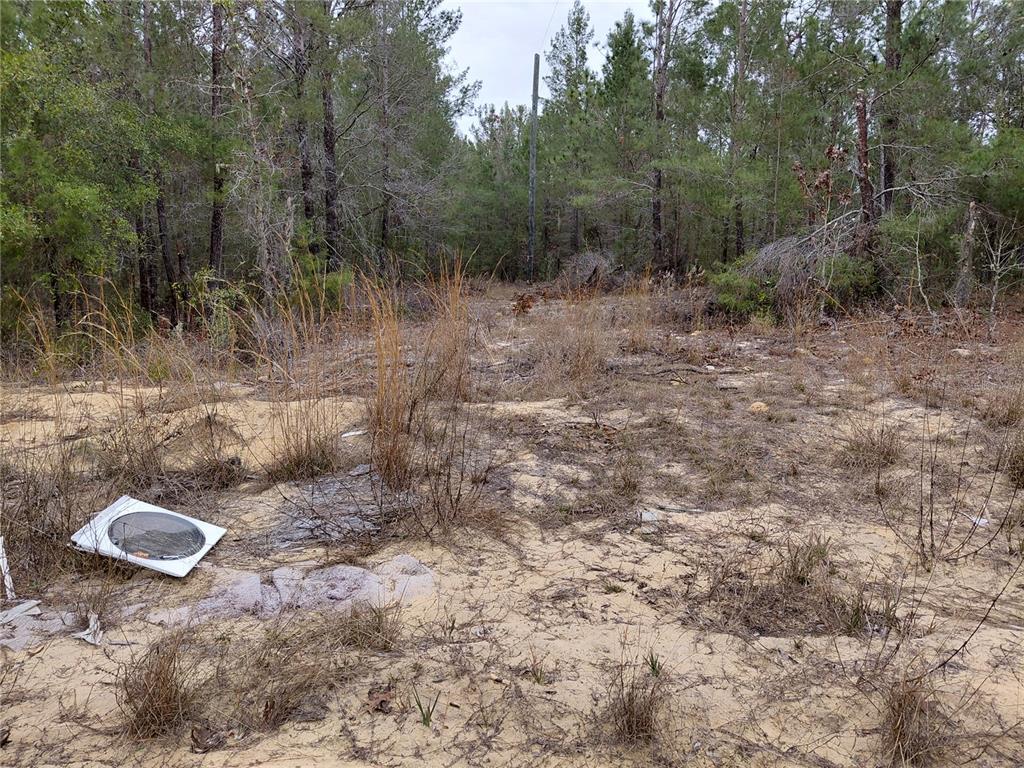 A sandy, overgrown lot features scattered debris and a utility pole near a wooded area — 0 OAK TERRACE, INTERLACHEN, FL