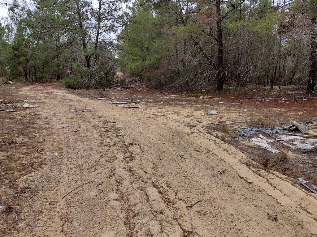 A dirt path winds through a wooded area with scattered debris on the ground — 0 OAK TERRACE, INTERLACHEN, FL