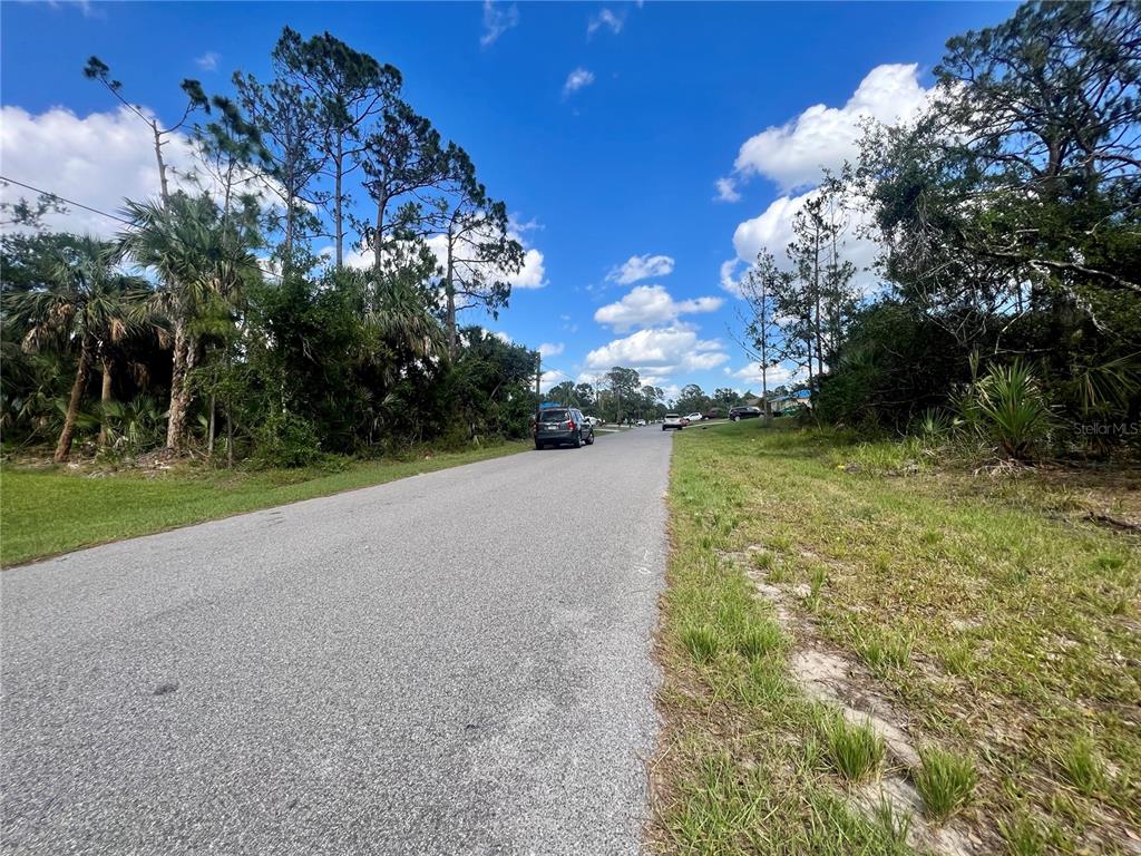 A paved road stretches through a wooded residential area under a bright blue sky — VIZZA LANE, NORTH PORT, FL