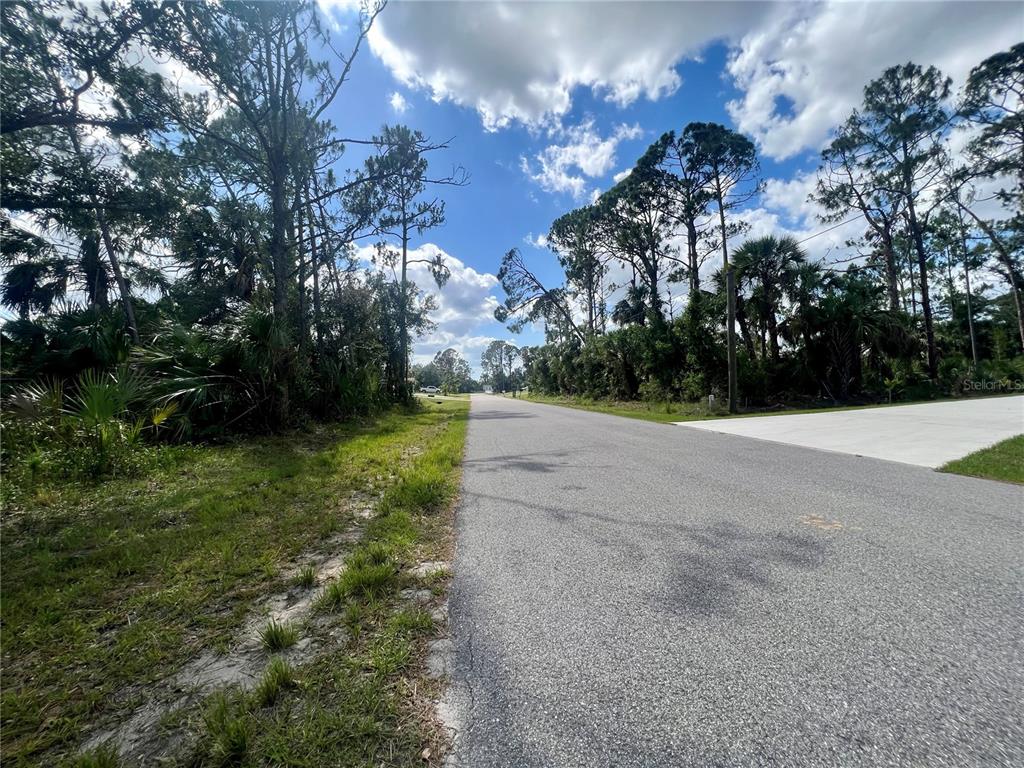 A paved road stretches between wooded lots under a blue sky with scattered clouds — VIZZA LANE, NORTH PORT, FL