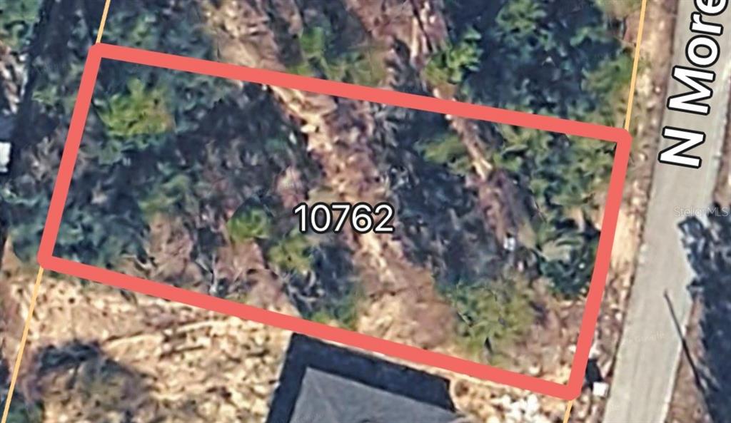 This is an aerial map view of a rectangular, undeveloped wooded lot — 10762 N MORENO DRIVE, DUNNELLON, FL