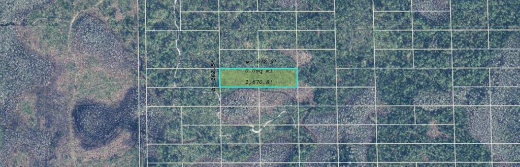 This is an aerial map showing a rectangular plot of land highlighted in light green — DILL ROAD, ORLANDO, FL