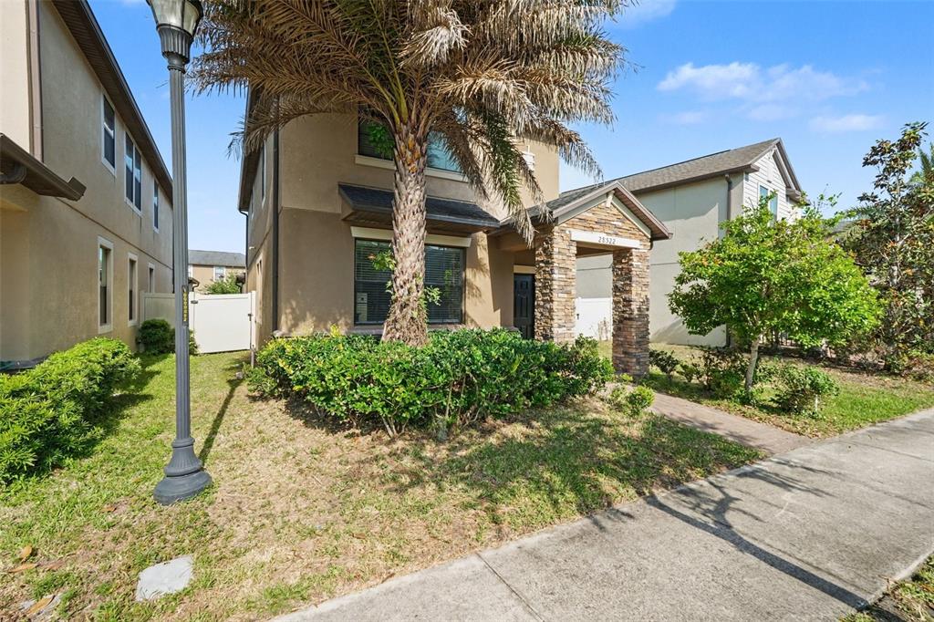 A two-story house with a stone-accented entryway, a palm tree, and a front lawn — 28522 E PLEASANT BAY LOOP, WESLEY CHAPEL, FL