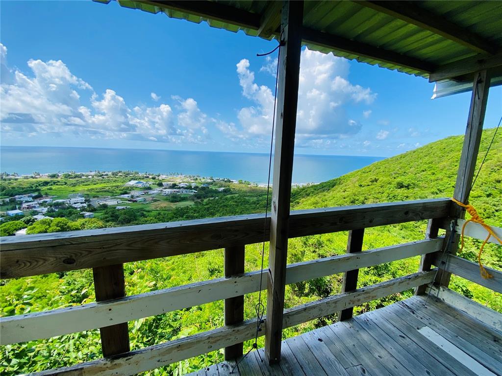FARM AMAZING OCEAN VIEW