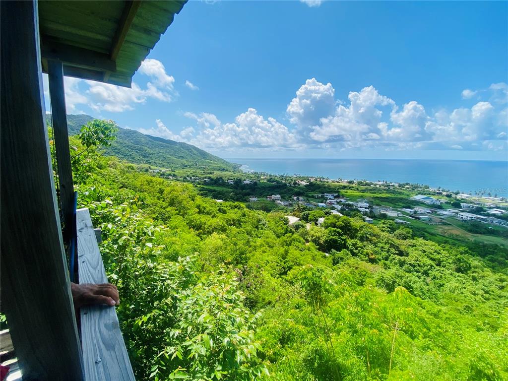 An elevated view from a wooden deck overlooking a lush green hillside and the ocean — FARM AMAZING OCEAN VIEW, PATILLAS, PR