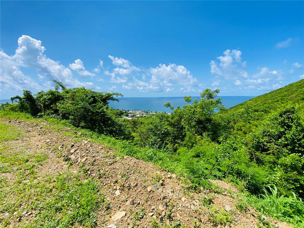 A view of a hillside overlooking a coastal town and the ocean under a blue sky — FARM AMAZING OCEAN VIEW, PATILLAS, PR