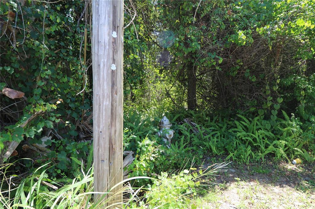 0 E FRANKLIN STREET, OVIEDO, FL — photo 3 of 4