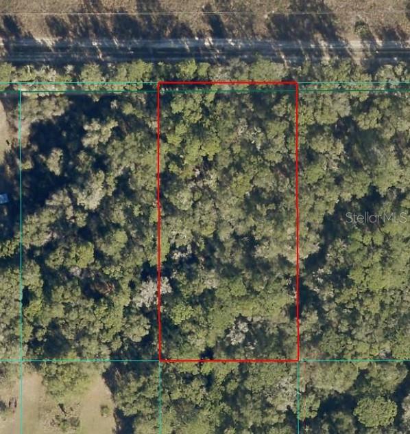 An aerial view shows a rectangular plot of land outlined in red amidst dense trees — Tract 15 SW 150TH STREET, DUNNELLON, FL