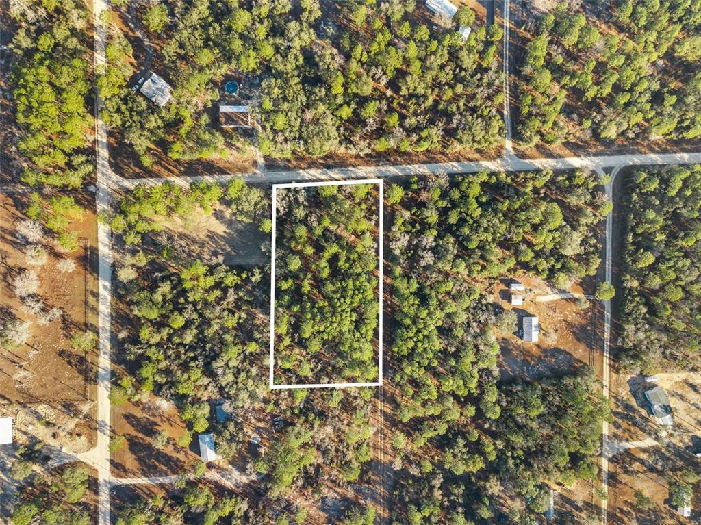 An aerial view shows a rectangular plot of land outlined in white amidst wooded terrain — 0 NE 121ST AVENUE, WILLISTON, FL