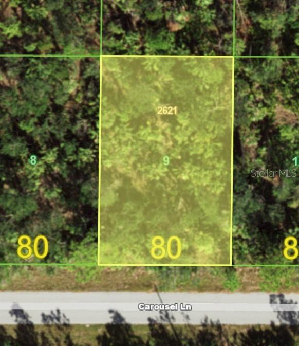 This is an aerial map view showing a rectangular plot of land along Carousel Lane — 14378 CAROUSEL LANE, PORT CHARLOTTE, FL