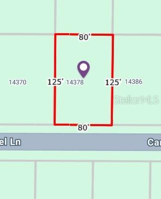 This map shows a rectangular plot of land measuring 80 feet by 125 feet — 14378 CAROUSEL LANE, PORT CHARLOTTE, FL