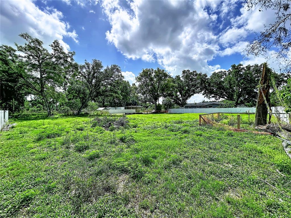 ROBSON, SEFFNER, FL — photo 4 of 12
