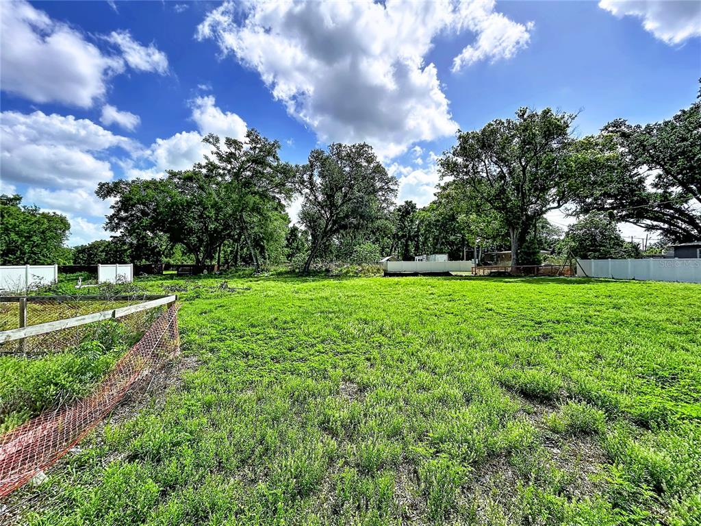 ROBSON, SEFFNER, FL — photo 5 of 12