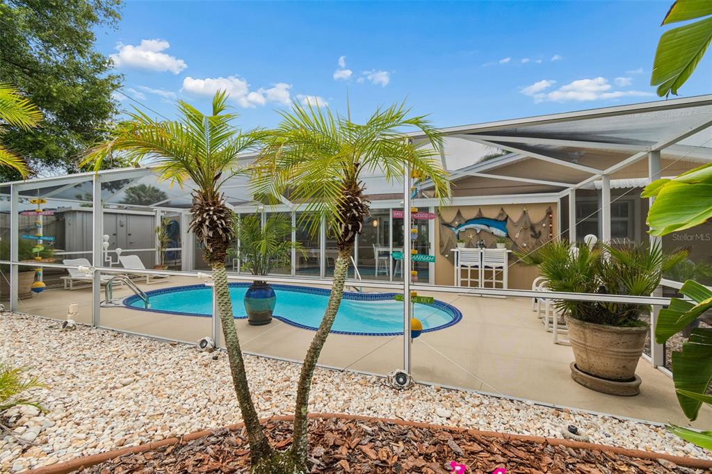 A screened-in swimming pool area features palm trees, a patio, and outdoor decor — 5843 APPLETREE ROAD, HOLIDAY, FL