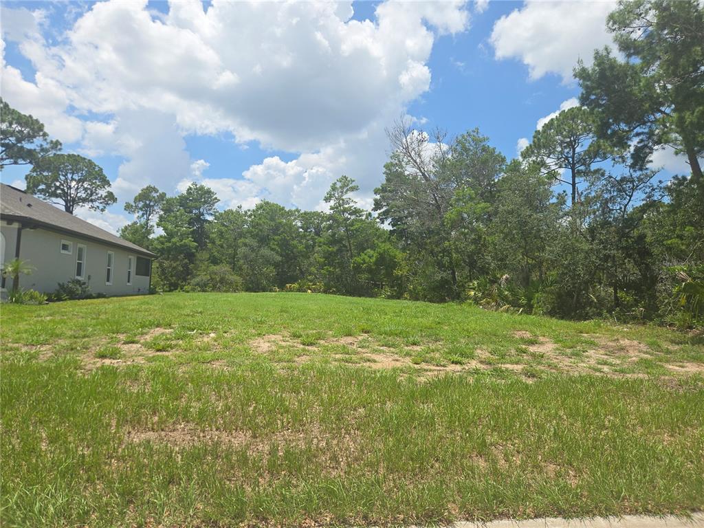 A grassy, vacant residential lot sits next to a house with a wooded background — 17 MARLIN DRIVE, PALM COAST, FL