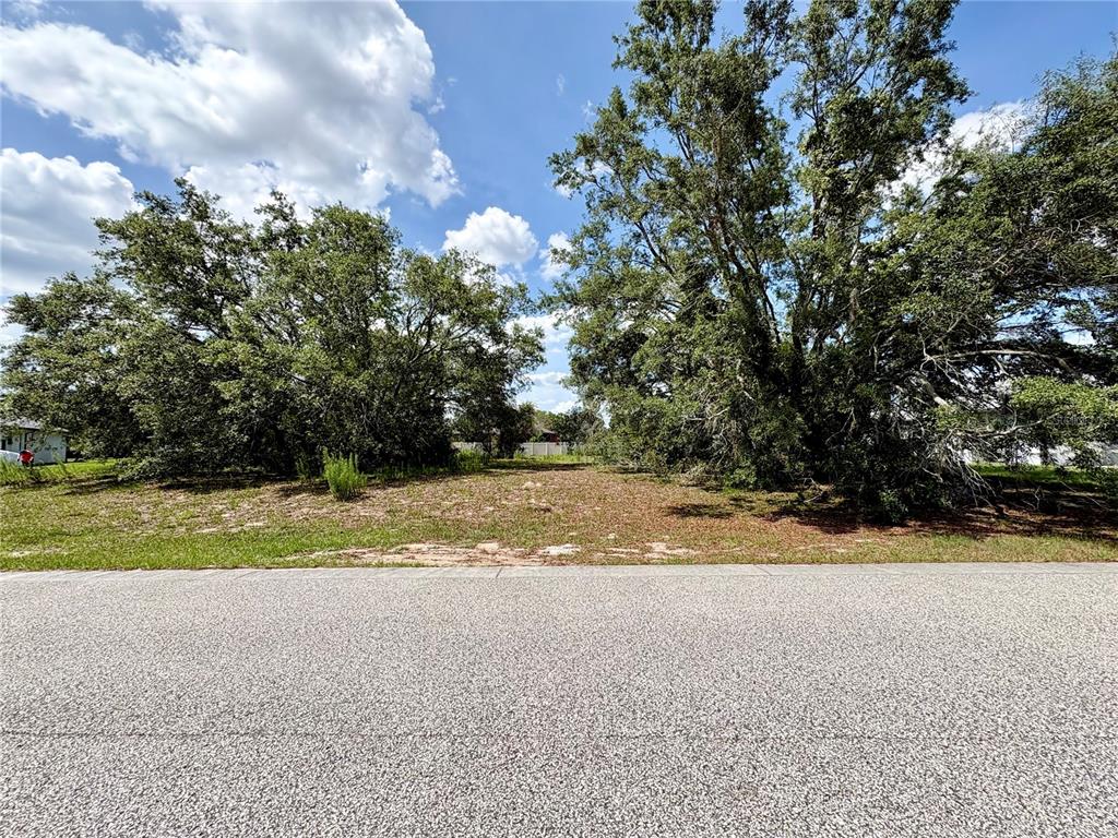 A vacant, grassy lot is situated between two large, mature trees along a paved road — 9925 REINDEER COURT, SPRING HILL, FL