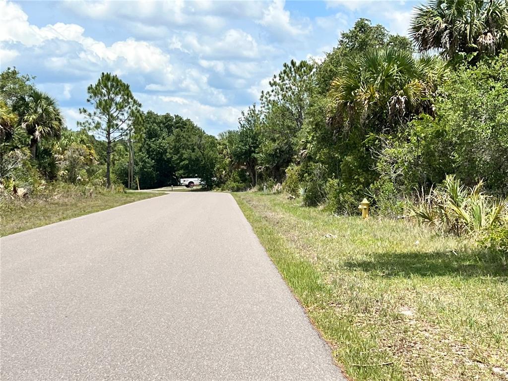 A paved road winds through a wooded area with a fire hydrant on the right — 324 CORY STREET, PORT CHARLOTTE, FL