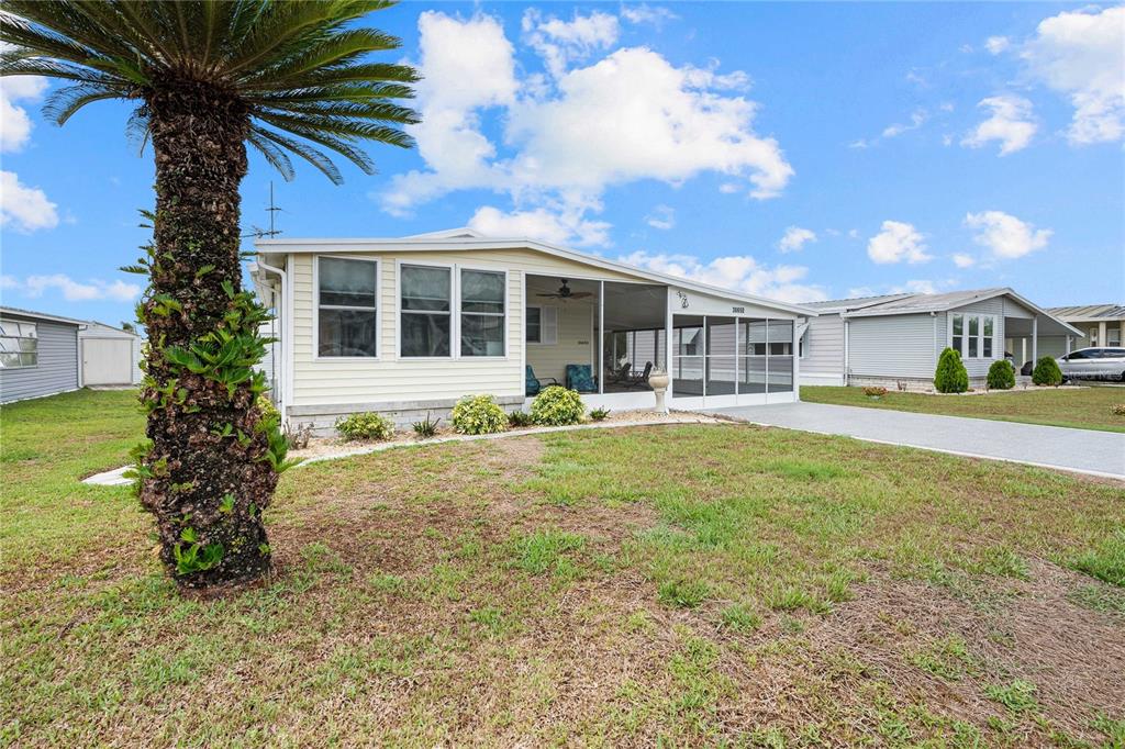 A light-colored manufactured home features a screened-in porch, a concrete driveway, and a palm tree — 36650 DINA DRIVE, ZEPHYRHILLS, FL