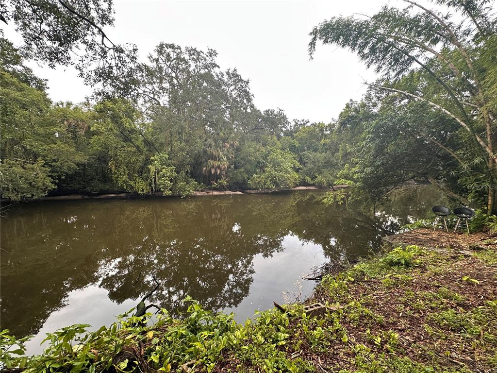 A view of a calm river bordered by dense trees and a small grassy bank — 1753 E MULBERRY DRIVE, TAMPA, FL