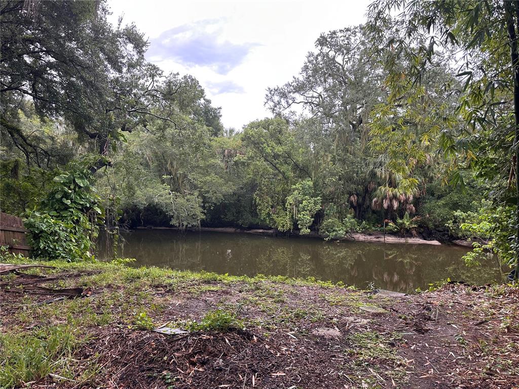 A view of a calm river bordered by dense trees and lush vegetation — 1753 E MULBERRY DRIVE, TAMPA, FL