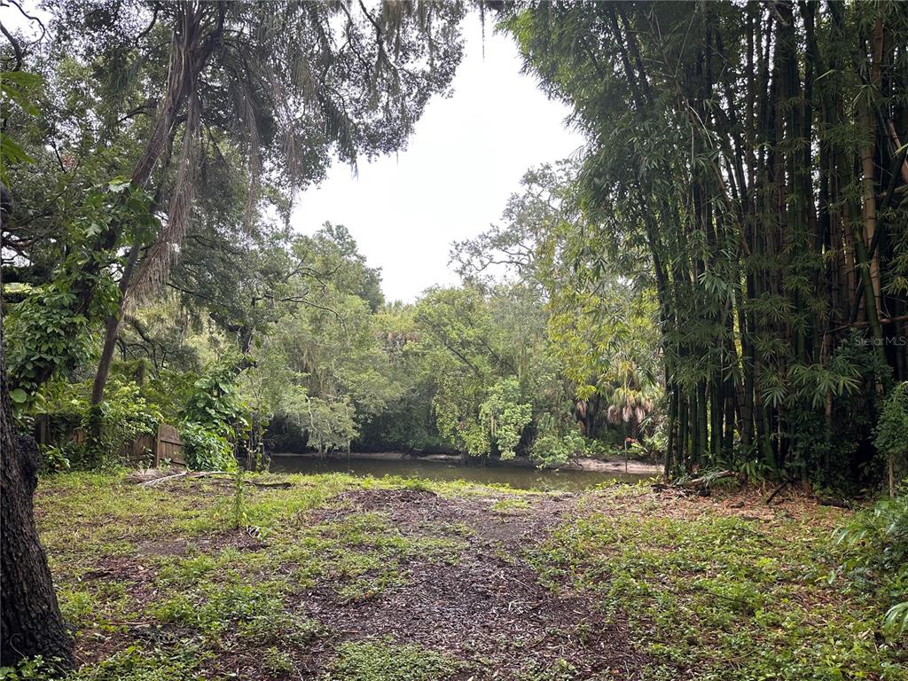 A grassy clearing leads to a small body of water surrounded by dense trees and bamboo — 1753 E MULBERRY DRIVE, TAMPA, FL